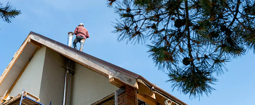 Birds Removal Contractors from Chimney in Aldine, TX